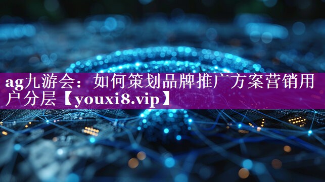 如何策划品牌推广方案营销用户分层