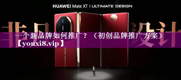 一个新品牌如何推广？（初创品牌推广方案）
